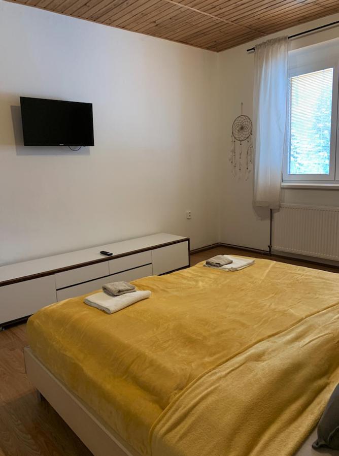 U Kubinu Apartment Jachymov